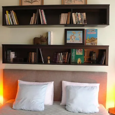 Le Balcon De L'hermitage Apartment *